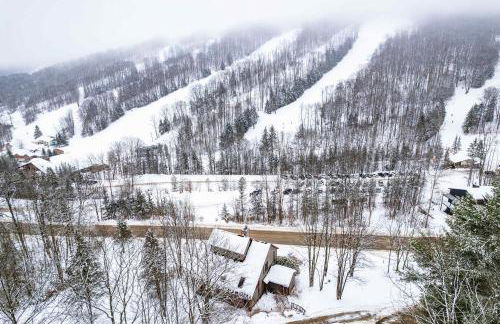 Chalet Across from Holiday Valley Walk to Lifts - Foto 52