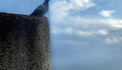 Vistas a la ria y garaje en el Castro, centro Vigo - Foto 5