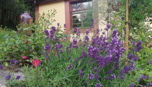 Pod Górą Turma - Photo 3