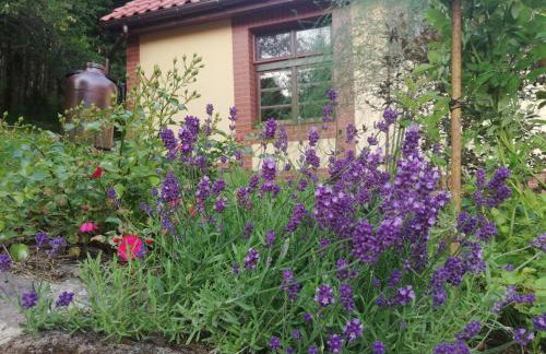 Pod Górą Turma - Photo 3