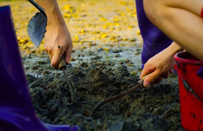 Tongyeong Tulip Pension - Foto 27