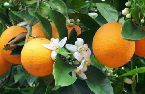 Apartamento en la playa - Foto 60