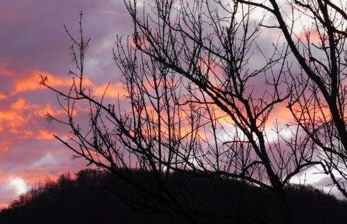 Apartment Chalet Wiedfluh in Waldbreitbach by Interhome - Foto 25