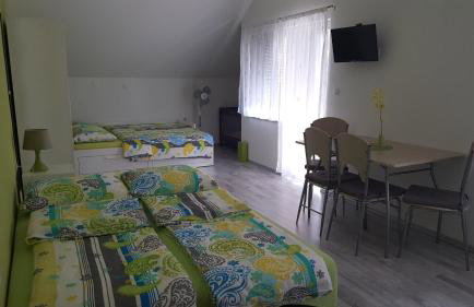 Studio Apartments Ante - Foto 11