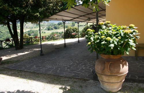 Le Storie di Bambu - Foto 22