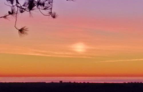 Sea Moss Cabin - Foto 42