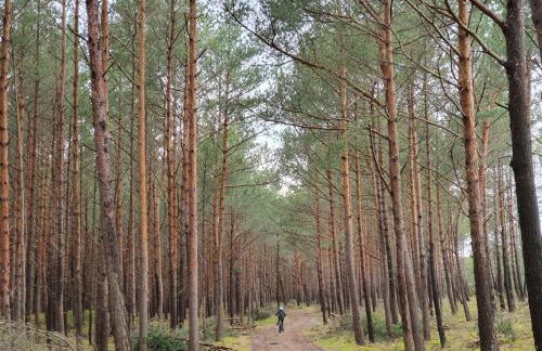 Kubiczówka - Foto 14