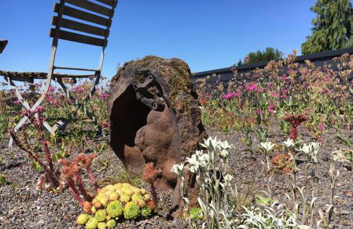 Haagalm Terrasse, Garten - Foto 44
