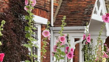 Cosy 2 bed cottage in beautiful Orford - Foto 4