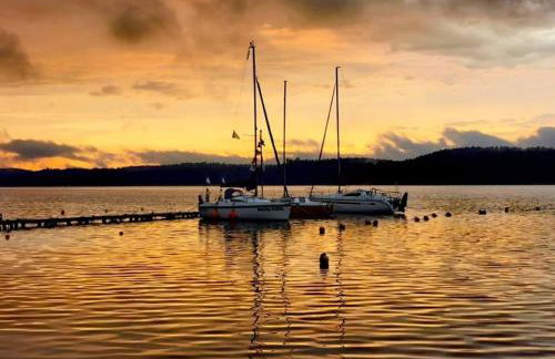 Między Brzozami - Foto 22