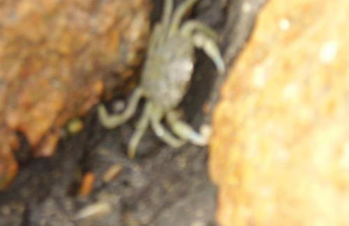 Landhaus op de Warft - Foto 41