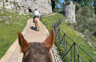 Casa dell'Antica Norba, Norma - big house - Photo 2