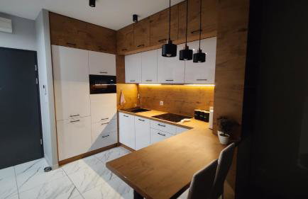 Apartament przy Parku Śląskim - Foto 8