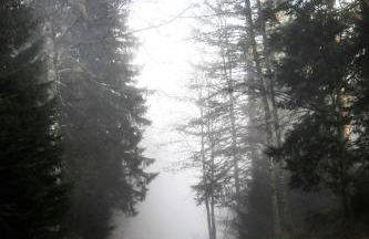 le refuge des Marmottes - Foto 38