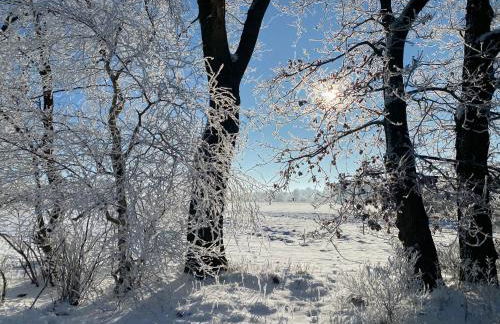 Schöner Winkel - Foto 26