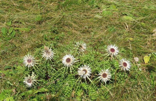 Csilla Comfortable Holiday Residence - Foto 20