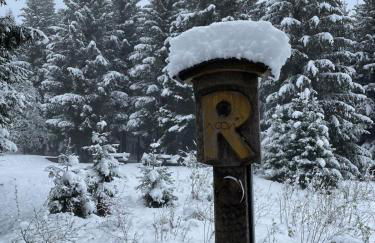 Thüringer Wald-Zauber - Foto 39