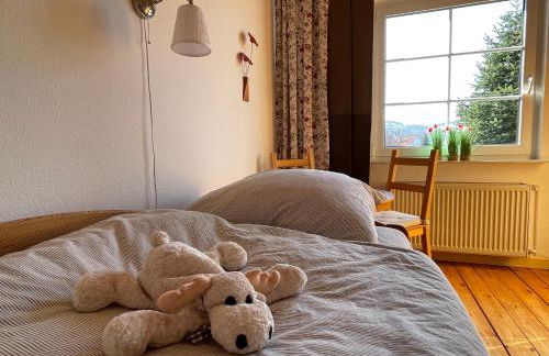 Ferienwohnung zum Riesenlöffel - Foto 16