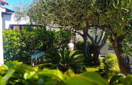 Appartamenti Luongo - Foto 70