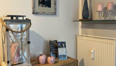 Ferienland Sonnenwald Fewo 46 und Studio 50 in Schöfweg Bayerischer Wald - Foto 5