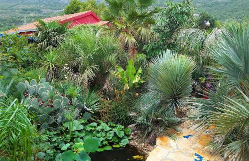 Villa Tropica, total privacy, tropical garden and private pool - Photo 41