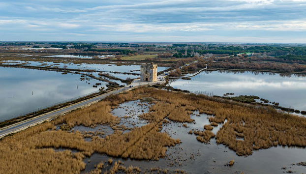 Paisaje de los arrozales y marismas