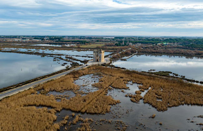 Excursion à Aigues-Mortes et à la Tour Carbonnière - Photo 3