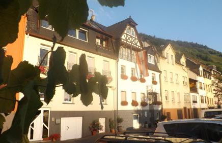 Mosel Panorama - Foto 20