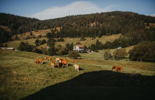 Schwarzwald Loft Panoramablick Menzenschwand - Foto 41