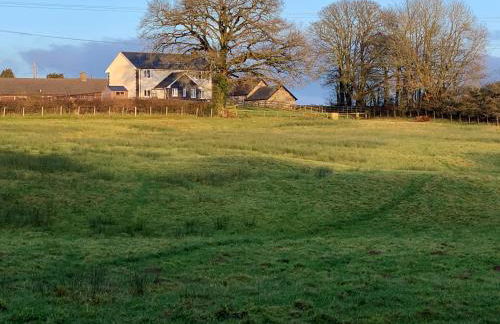 Maen Llwyd - Photo 14