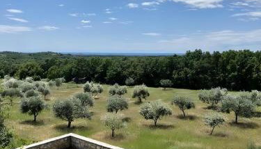 Villa Olivetta by Istrian Country Houses - Foto 5, Garden, Garden view