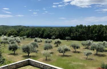 Villa Olivetta by Istrian Country Houses - Foto 5