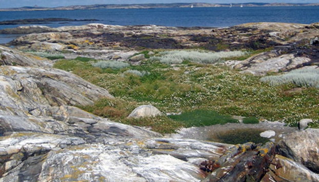 5 Star Holiday Home in Marstrand - Foto 5, Interior