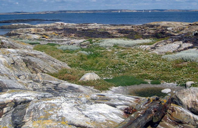 5 Star Holiday Home in Mastrand - Foto 7