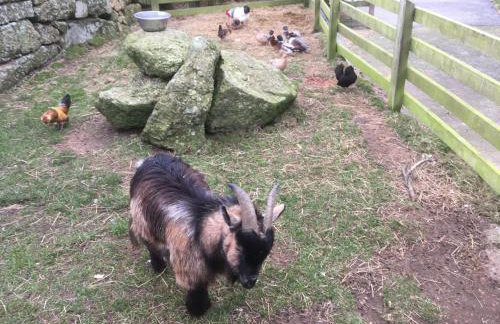 The Little Barn - Near St Ives Beaches & Walks, Dog Friendly - Foto 16