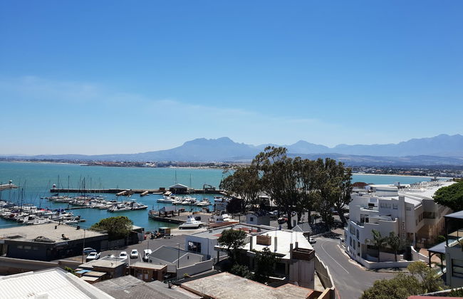 Linga Longa - Foto 5