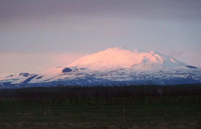 South Central Apartments - Foto 42