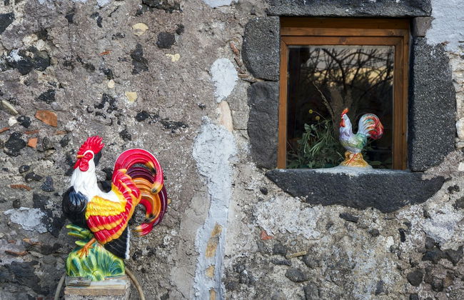 PODERE DELL'ETNA SEGRETA - Nature hotel - Foto 30