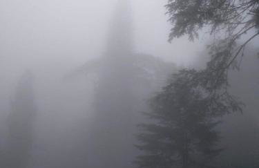 Cabana Jandaia - Foto 36