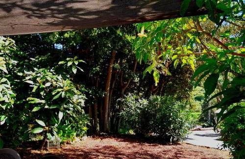 La casita del Lagar - Foto 25