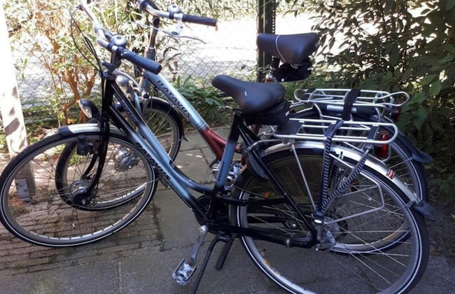 Relax in Your Holiday Home With Sauna, Near the Beach of Noordwijk - Foto 27