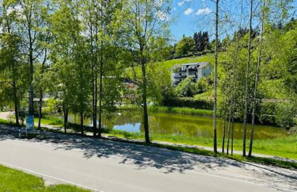 Weiherblick - Foto 15