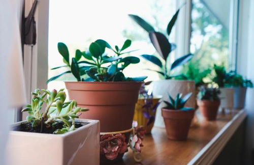 Rose Ranch - Charming Country Home - Foto 64