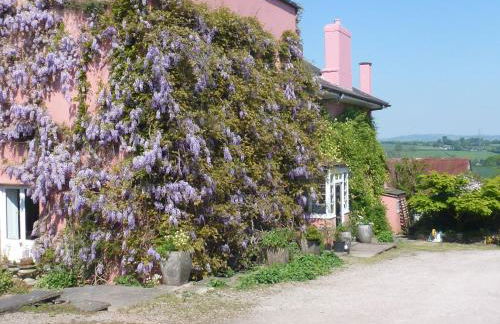 Thatch Close Cottages - Foto 17