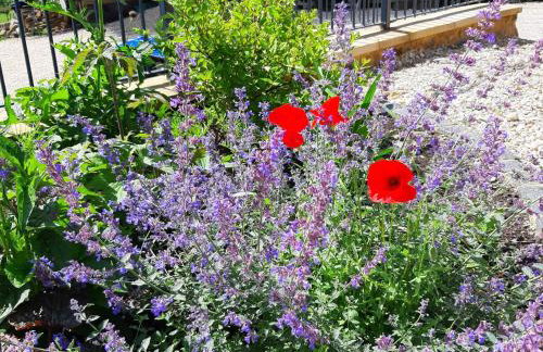 Bay Tree Cottage Accommodation - Photo 33