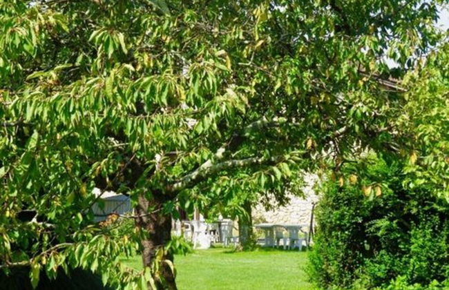 Domaine les Messauts - Gîte le Figuier - Foto 7