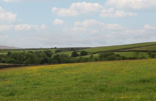 The Journeyman Luxury Shepherds Hut - Photo 24