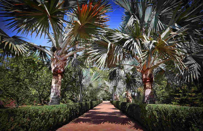 Billet pour le Jardin de L’Albarda - Photo 2