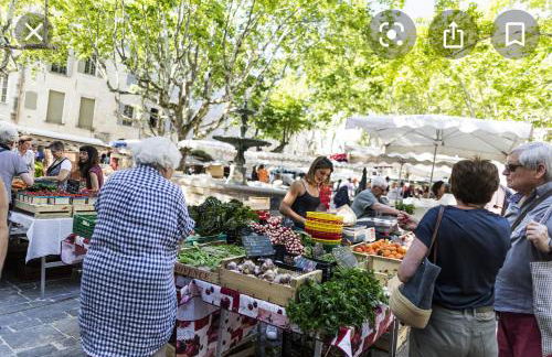 gite les oliviers 10 pers piscine au calme 4 Etoiles - Foto 57