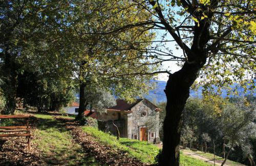 Quinta da Roda Hotel - Conforto e Tranquilidade no Gerês - Foto 14